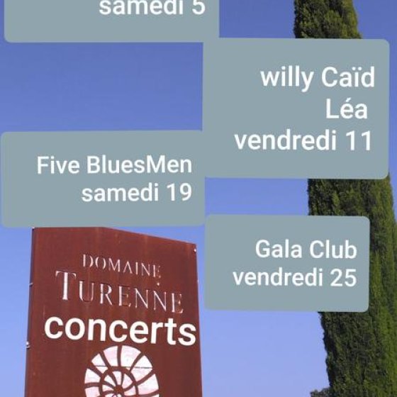 Soirées concerts au Domaine Turenne