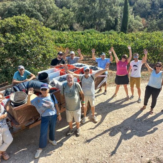 Journée découverte des vendanges au Château Pas du Cerf à La Londe