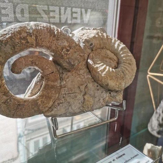 Journées portes ouvertes du musée géologique à Collobrières