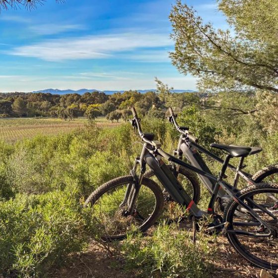 Flânerie Œnologique en VTT électrique dans les vignes à Figuière à La Londe-les-Maures Flânerie Œnologique en VTT électrique dans les vignes à Figuière à La Londe-les-Maures