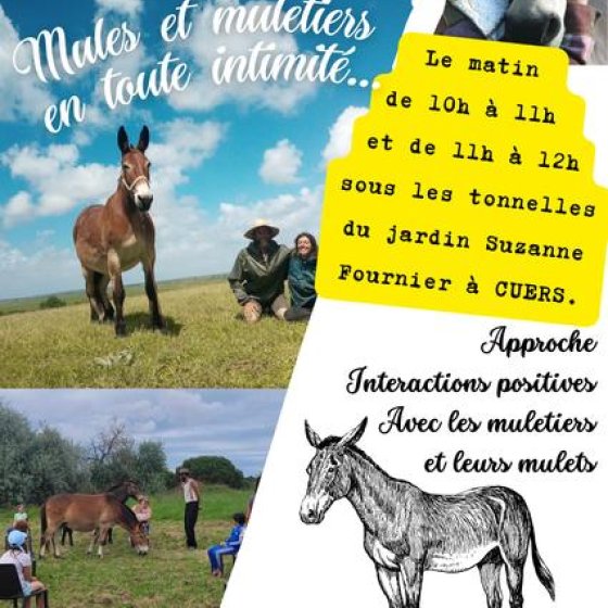 Mules et Muletiers en toute intimité Mules et Muletiers en toute intimité