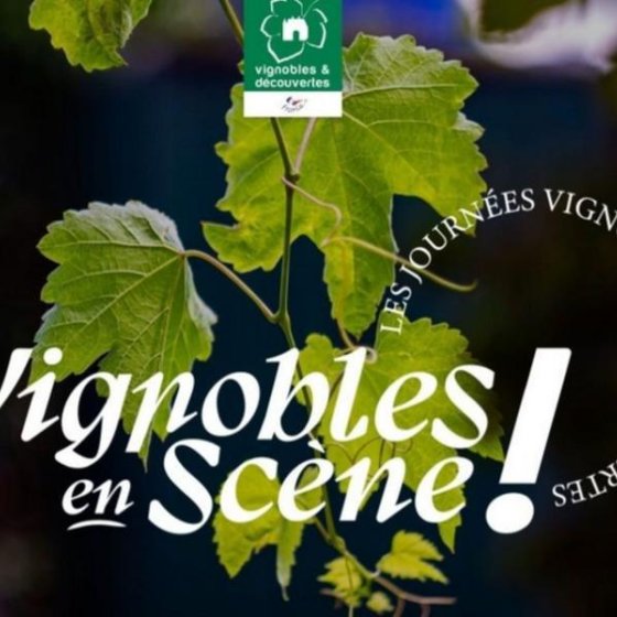 Vignobles en scène - Domaine de la Courtade_Hyères Vignobles en scène - Domaine de la Courtade_Hyères