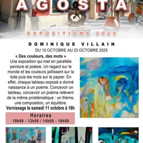 Exposition : Dominique Villain_Collobrières