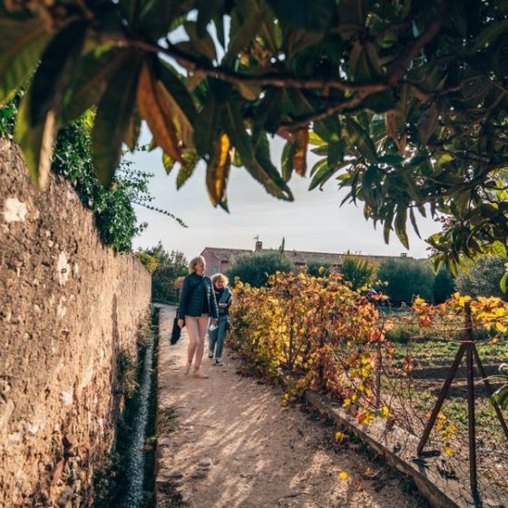 Balade gourmande à Ollioules_Ollioules Balade gourmande à Ollioules_Ollioules