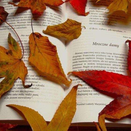 Sortir en Méditerranée Porte des Maures