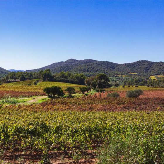 Domaine du Favanquet