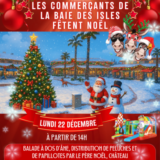 Les animations de Noël en Méditerranée Porte des Maures