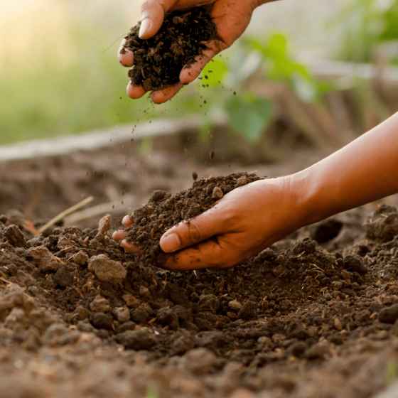 Conférence environnement : "Le rôle précieux et insoupçonnée du compostage face au réchauffement climatique "_La Londe-les-Maures