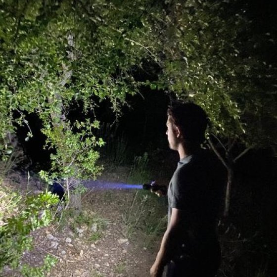 Balade nocturne : la vie secrète de la forêt_Collobrières