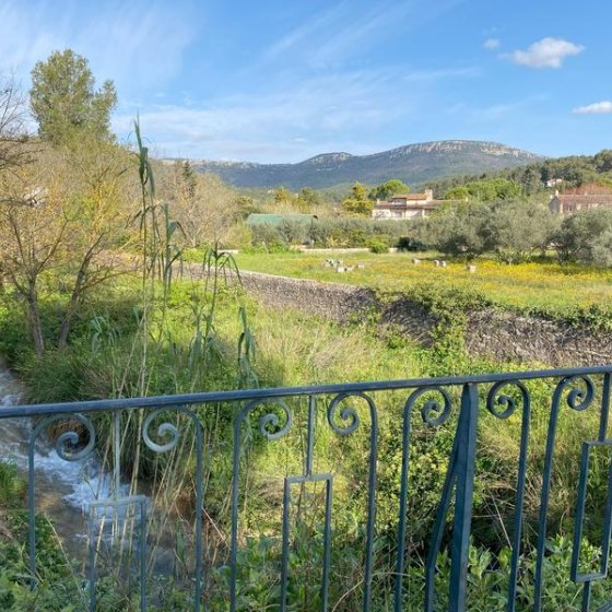 paysage agricole de Cuers