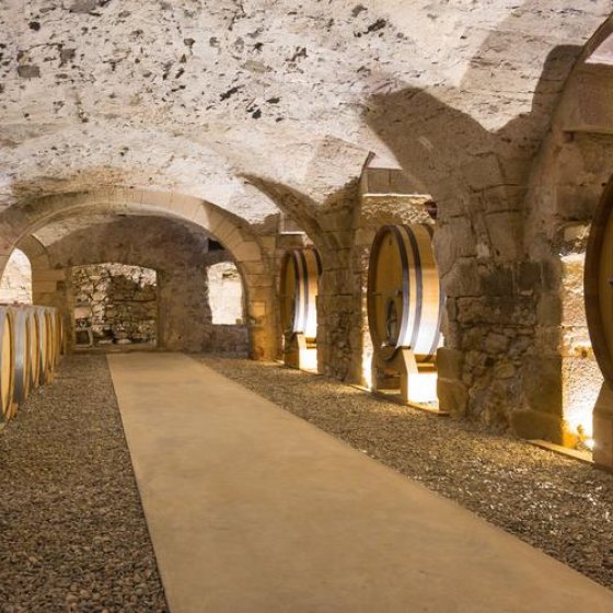 Chai à barriques Château des Bormettes