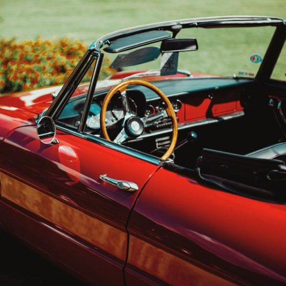 Les expositions en Méditerranée Porte des Maures