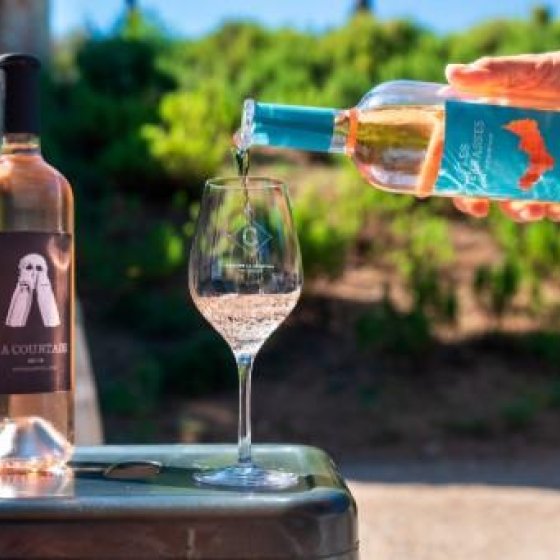 Oenology workshop at the Musée du Niel_Hyères