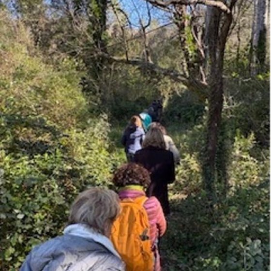 Balade en Méditerranée Porte des Maures