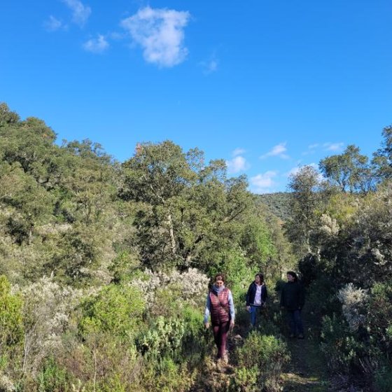 Immersion en forêt au Domaine de la Portanière à Collobrières