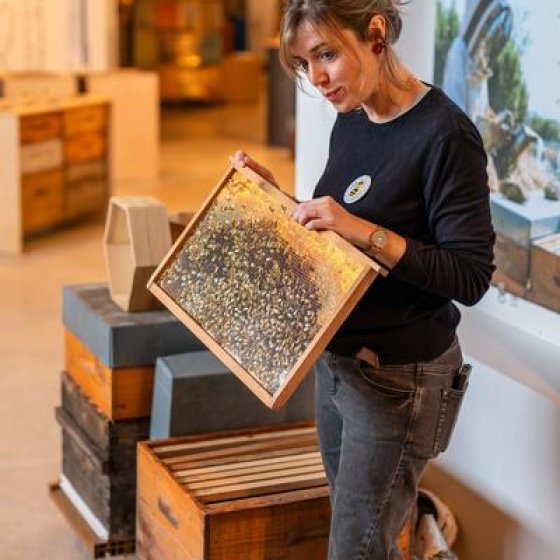 Visite guidée de la Butinerie_Bormes-les-Mimosas