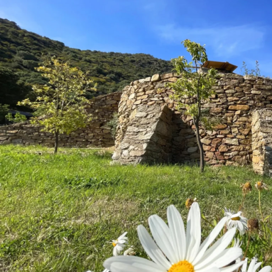 Visite des restanques de Saint-Clair_Le Lavandou