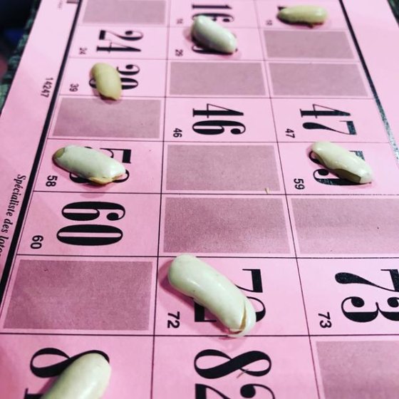 Les Lotos en plein air en Méditerranée Porte des Maures