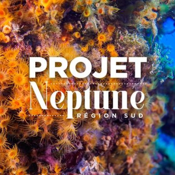 Projet Neptune à La Londe les Maures