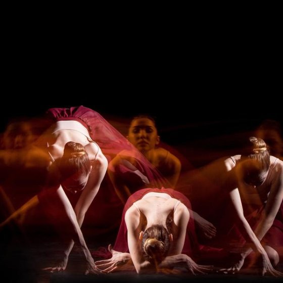 Les spectacles en Méditerranée Porte des Maures