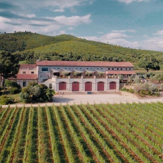 Les Musicales dans les vignes - Jazz Manouche au Château Galoupet_La Londe-les-Maures