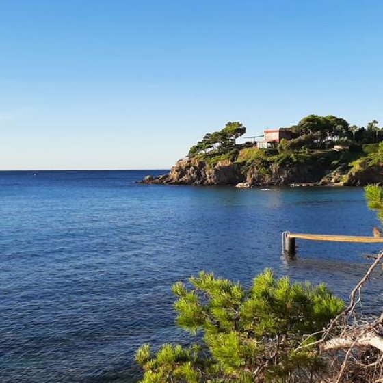 Graines de pirates à Giens : plantes pirates et trésors naturels_Hyères