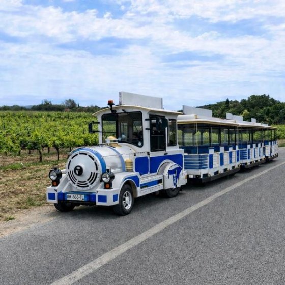 Petit train des vignes - Balade au cœur du terroir londais