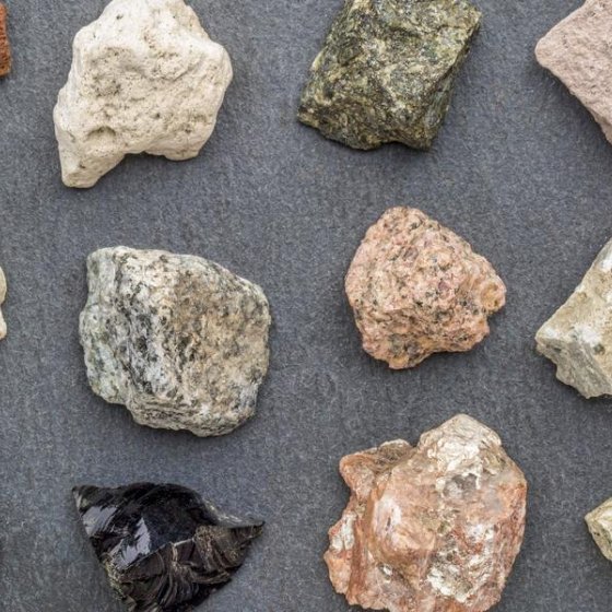Mineral and Fossil Show_Collobrières
