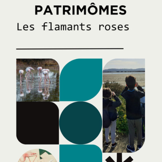 Patrimômes - The Pink Flamingos_Hyères