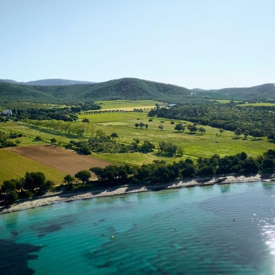 Vue aérienne du vignoble