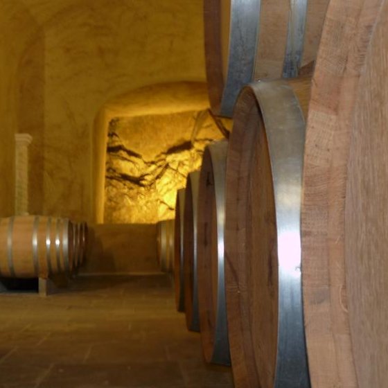 Interactive cellar tour at Château Pas du Cerf and a tasting of the new vintage_La Londe-les-Maures
