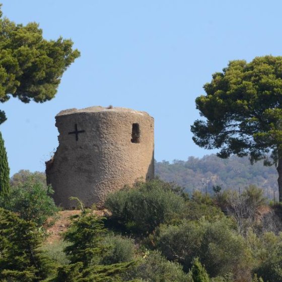 moulin Hauteurs de Bormes