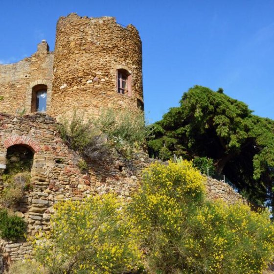 Château des seigneurs de Fos