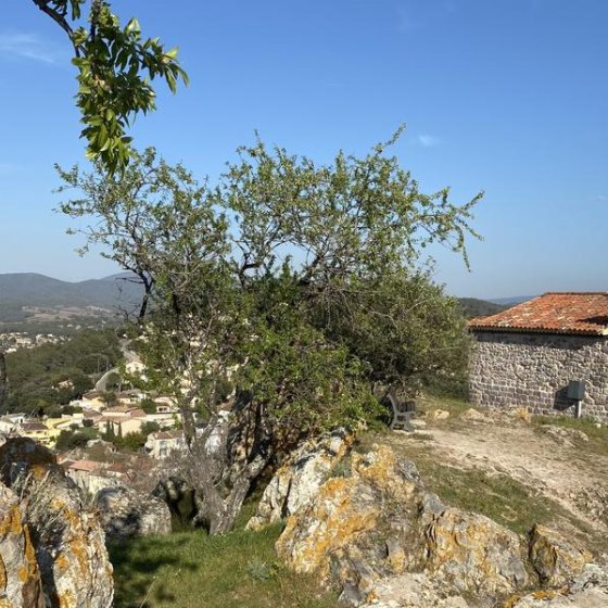 Journées Européennes du Patrimoine en Méditerranée Porte des Maures