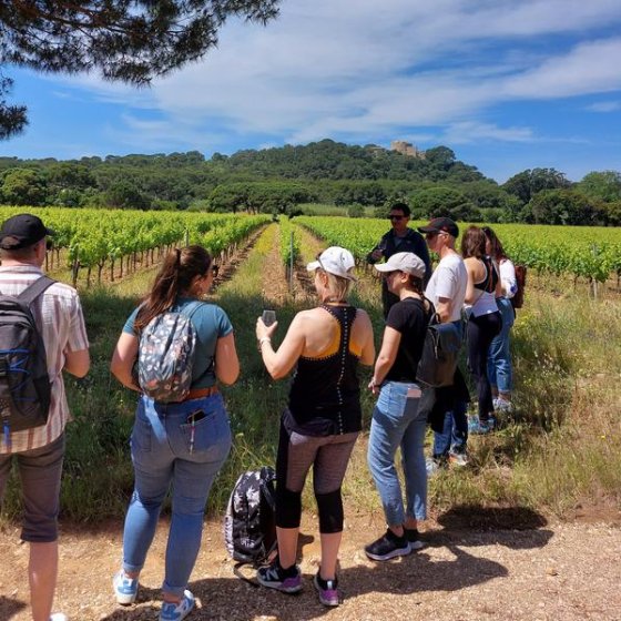 Balade oeno-sensorielle au domaine de la Courtade_Hyères