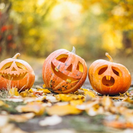 Les animations d'Halloween en Méditerranée Porte des Maures