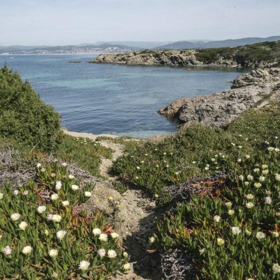Visite guidée : Les Embiez, l'île au trésor anisé