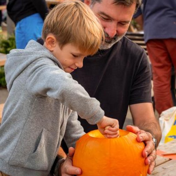 Concours creusage de citrouille
