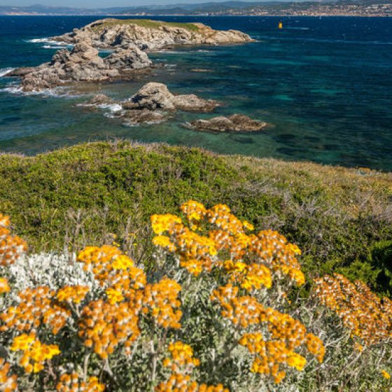 Visite guidée de l'île des Embiez Visite guidée de l'île des Embiez