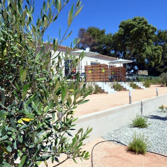 Gîtes Sous les Pins