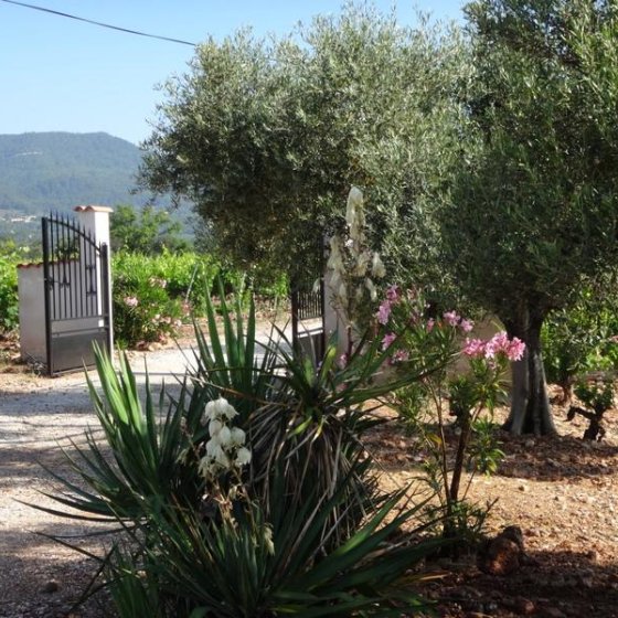 Bienvenue à la Campagne