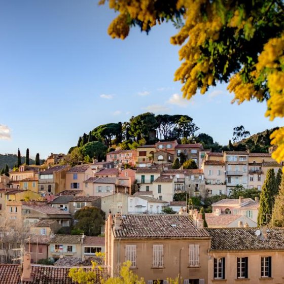 village avec mimosas