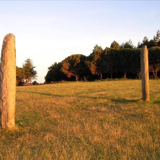 Collobrières : menhirs de la ferme Lambert