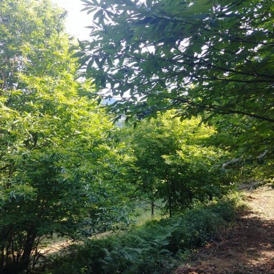 Patrimoine naturel en Méditerranée Porte des Maures