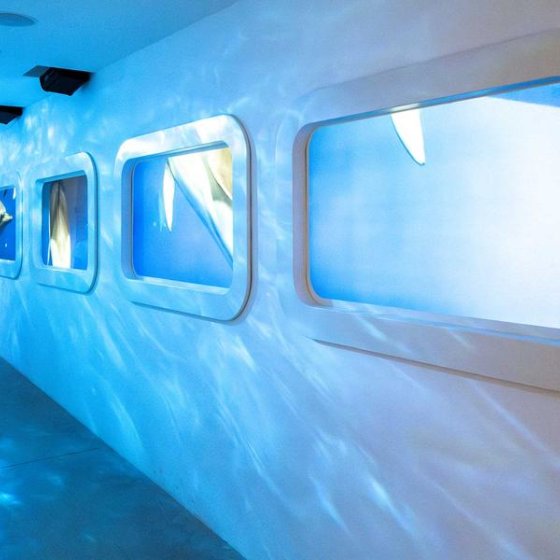 Sensory immersion
