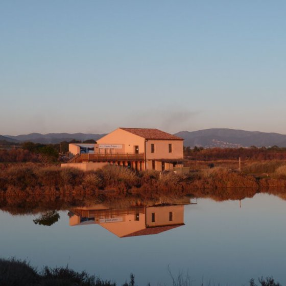 Old salt marshes nature area_Hyères