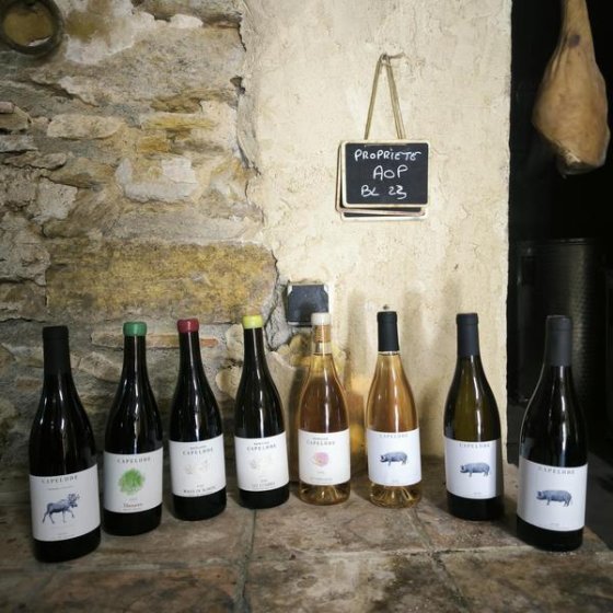 Vins biologiques du Domaine de Capelude