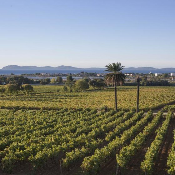 Château du Galoupet_La Londe-les-Maures