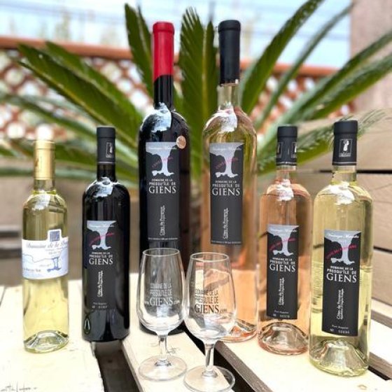Vins