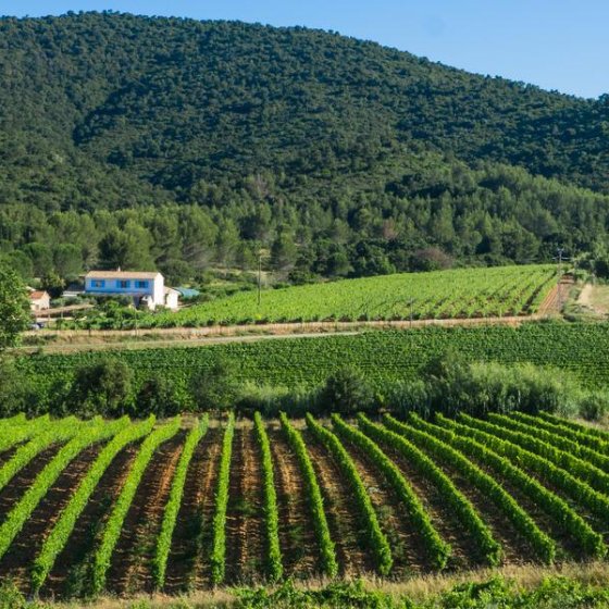 Domaine les trois chenes hyeres LES BORRELS